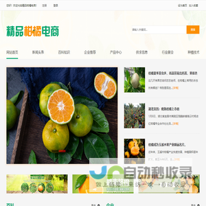 精品柑橘电商
