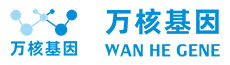 亲子鉴定_DNA亲子鉴定预约平台 万核基因